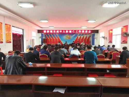 罗山县潘新镇最新爆料,揭秘神秘事件背后的真相  第2张